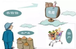 農(nóng)村電商創(chuàng)業(yè)指南 農(nóng)產(chǎn)品電商網(wǎng)絡(luò)搭建全攻略